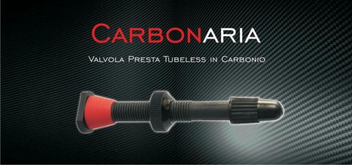 KIT VALVOLE TUBELESS IN CARBONIO BARBIERI CARBONARIA