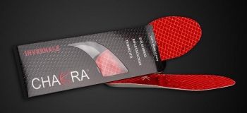 PLANTARI CHAKRA INVERNALI